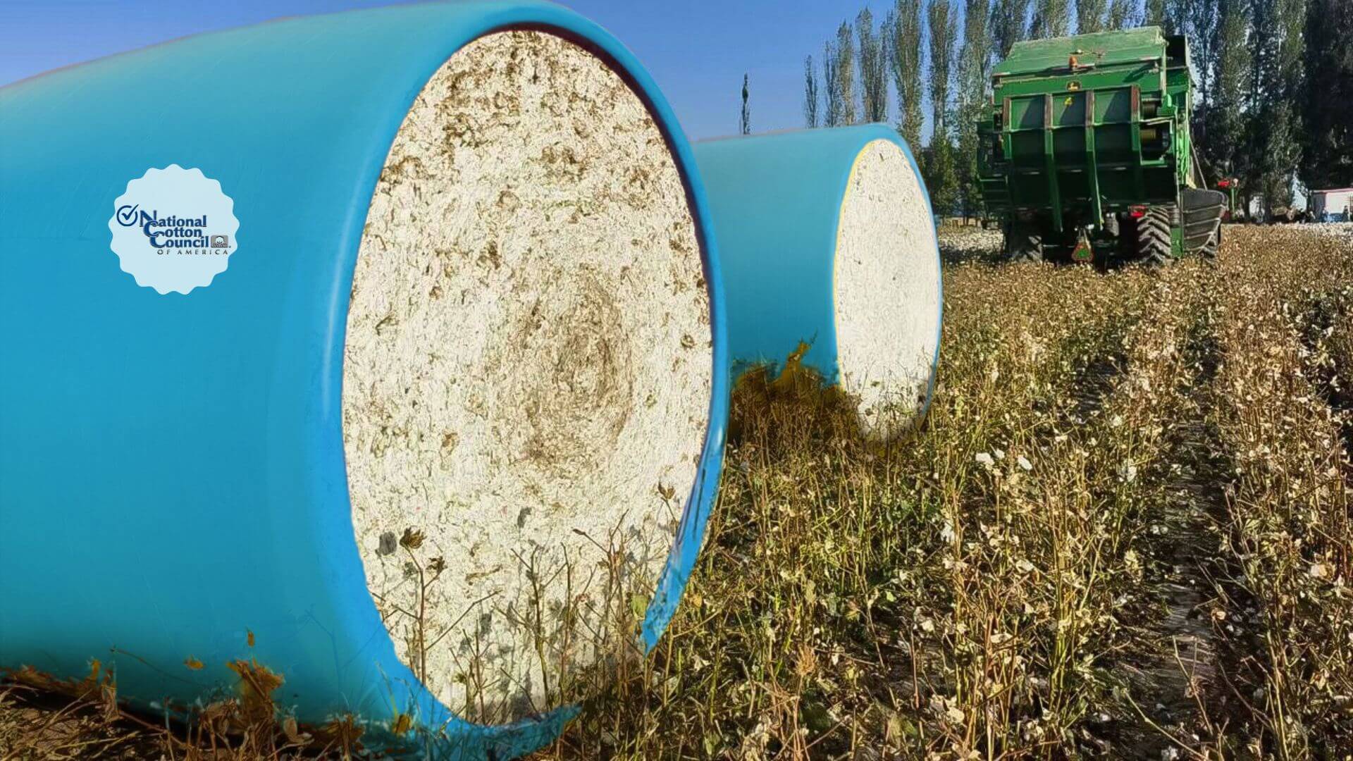 SK Blue Cotton Wrap in the field with John Deere picker and the National Cotton Council seal of approval